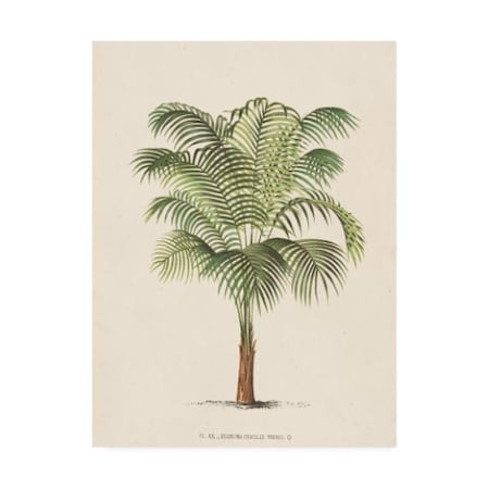 Unknown 'Les Palmiers Ii' Canvas Art,35x47